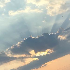 Meet your Posher, George